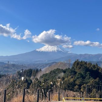 つつじ山からの富士山　ブランコあり