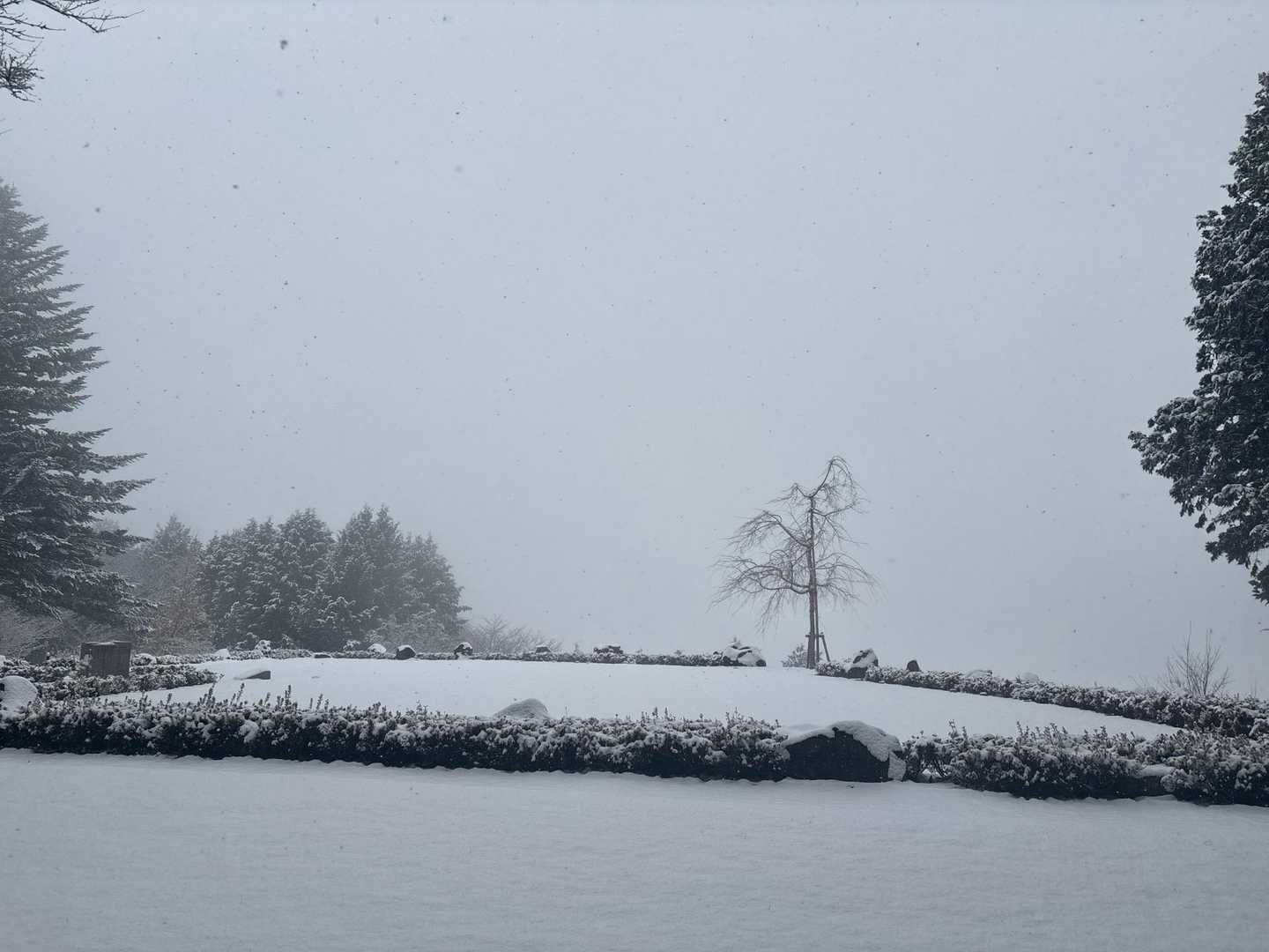 中山着
もちろん真っ白❄️
先客はおひとりさまのみ
お邪魔にならないようにそっと離れて歩く😊