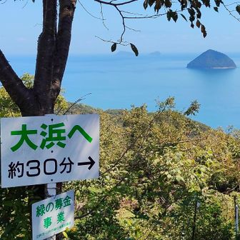 東側　津久見島