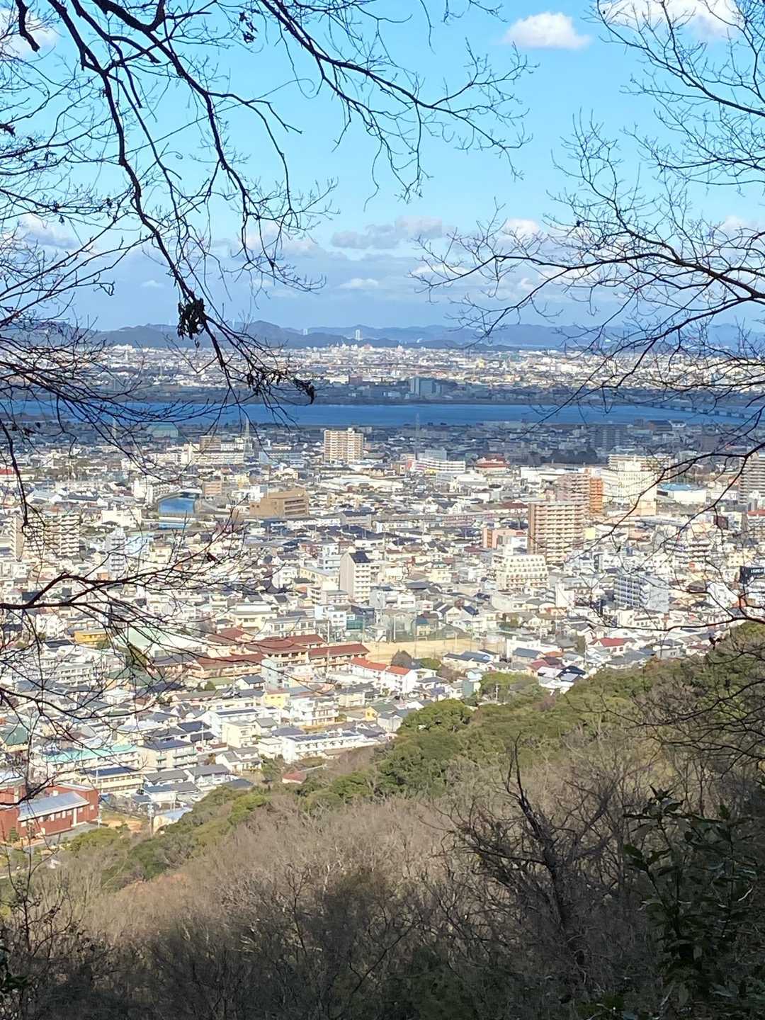 遠くに大鳴門橋が見えるんです。