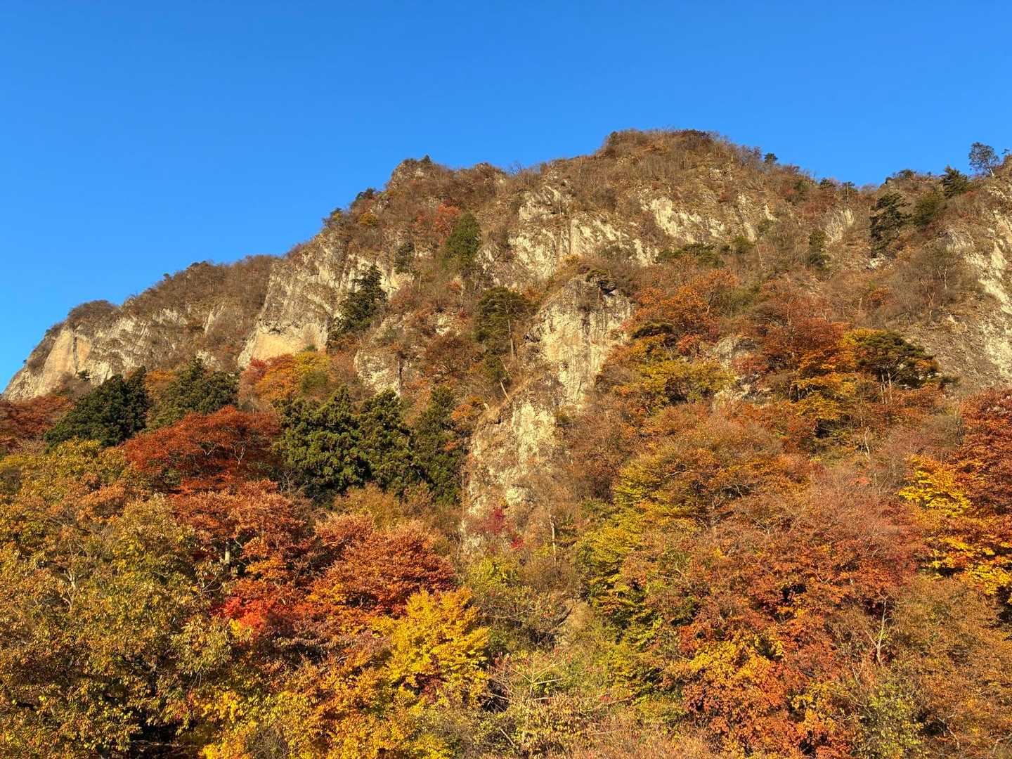大の字の鎖を登ると前も後ろも開けてます。