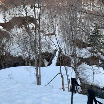 スタートします