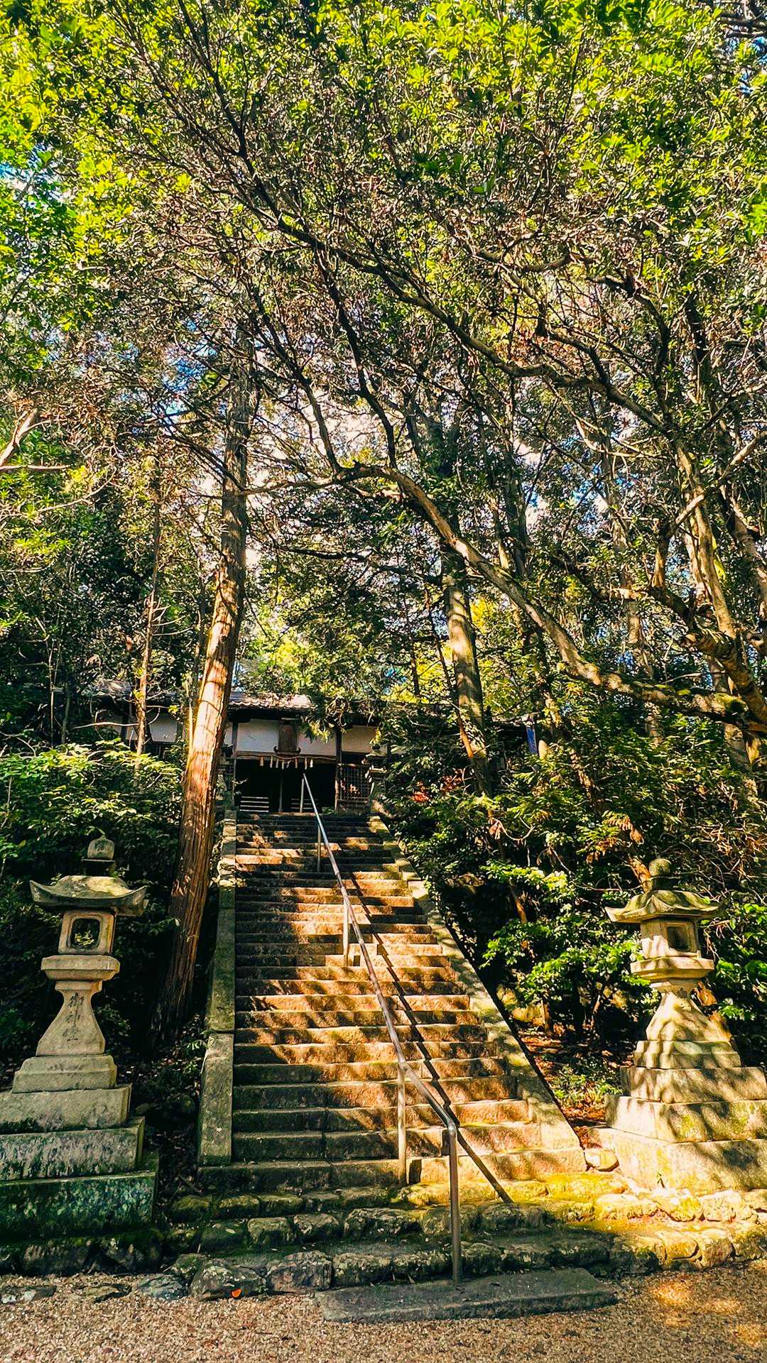 登山道入り口の神社⛩️にまずは御挨拶