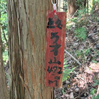 万才山、山頂🙌