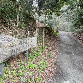 ここからも結構舗装路が続きます。