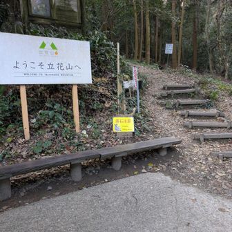 キレイに掃除されています