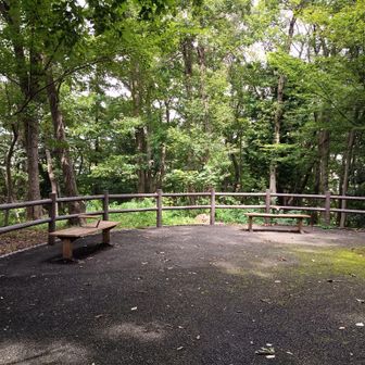 四座目、三ツ目山山頂到着～♪
町田市立三ツ目山公園内です

ここからも長かった...
多摩境駅から多摩センター駅まで電車乗れば良かった（マジで）

ちなみに、北側に並行する緑道も歩けます
