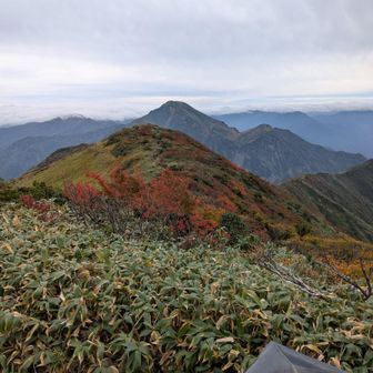 よく歩きました😊