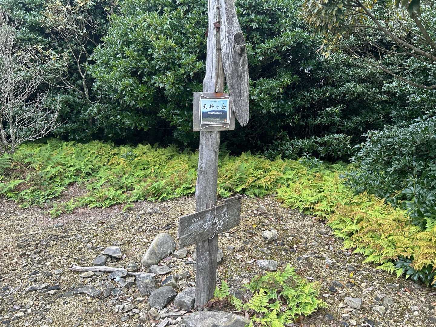 天井ヶ岳到着。