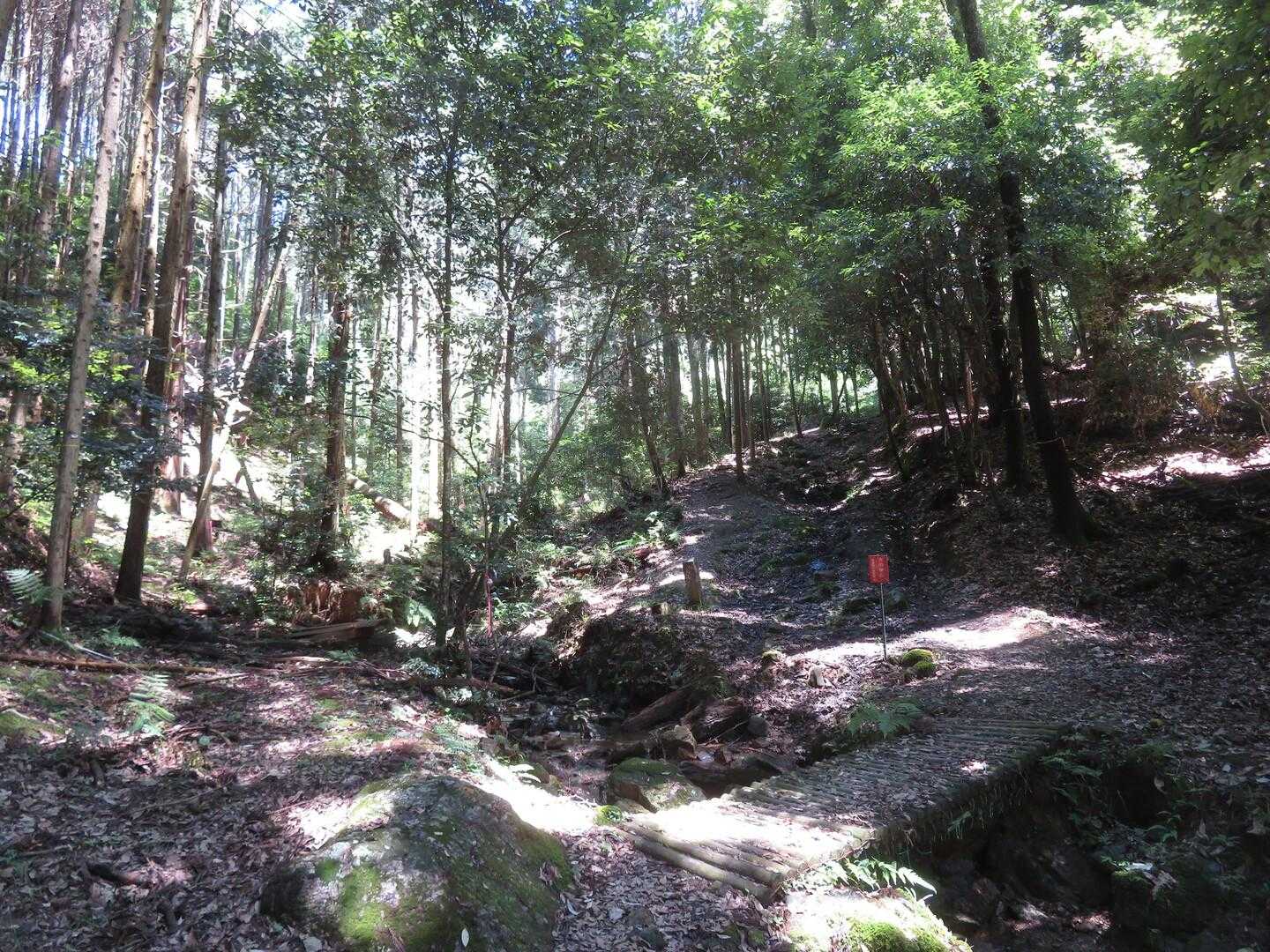 川がええ音してます。涼し気な音だけど、でもやはり暑い。。谷間はやはり風が少ないなぁ。