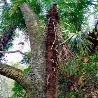 混じってる子もいるけど🤭