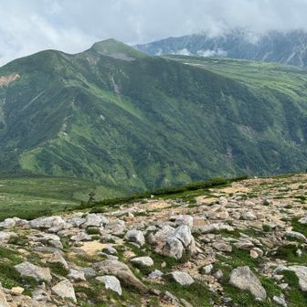 越中沢岳から五色ヶ原方面