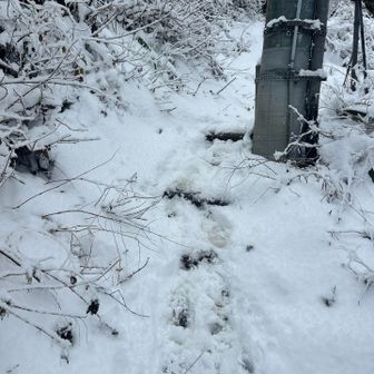 下山開始からたった2分、ココですってんころりん😅