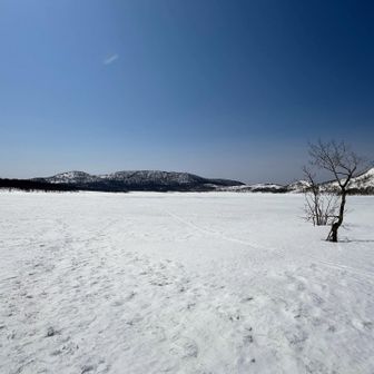 わぁ🤩✨
雄国沼です❣️