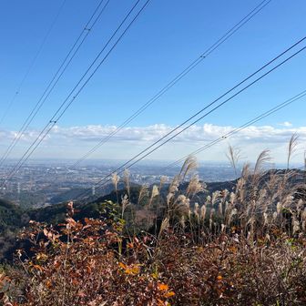 めちゃくちゃいい天気🤩