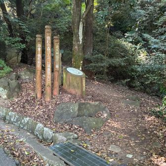 行き煌彩の森コース