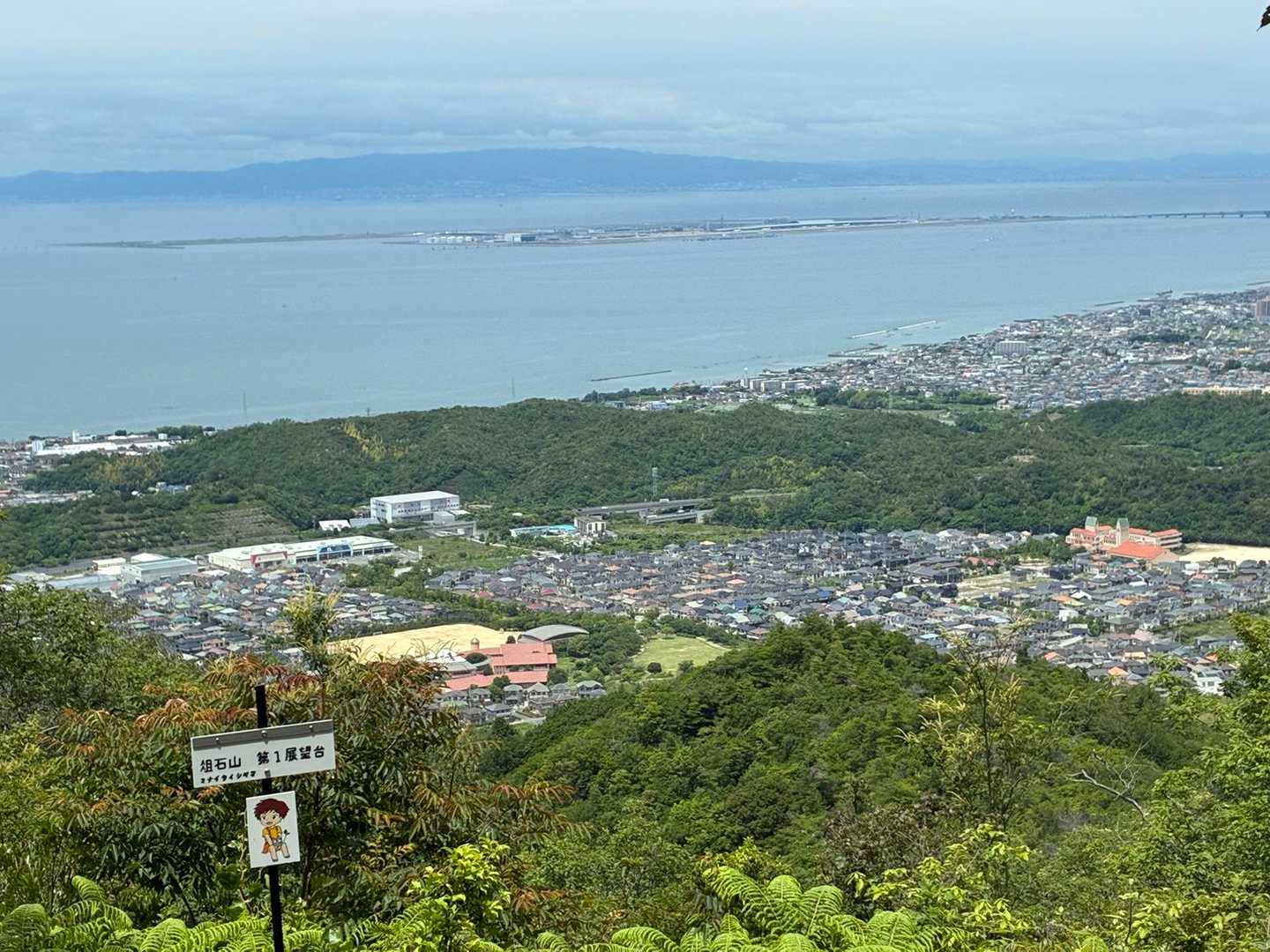 展望台から