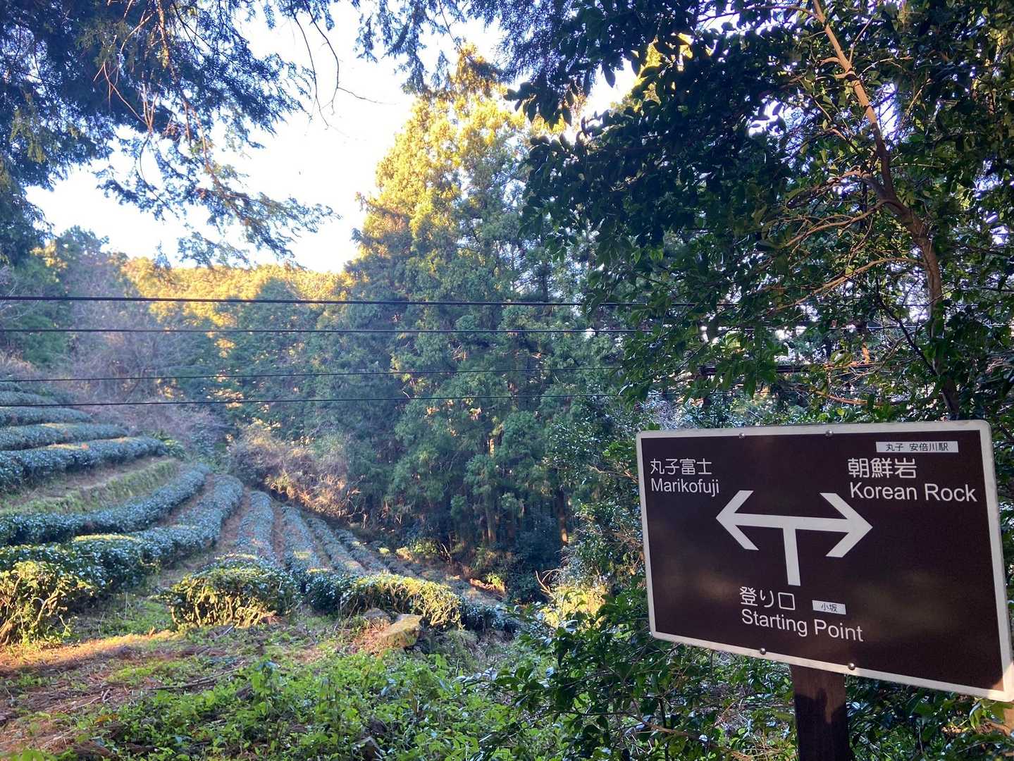 鞍掛峠-満観峰-丸子富士 往復コースの写真