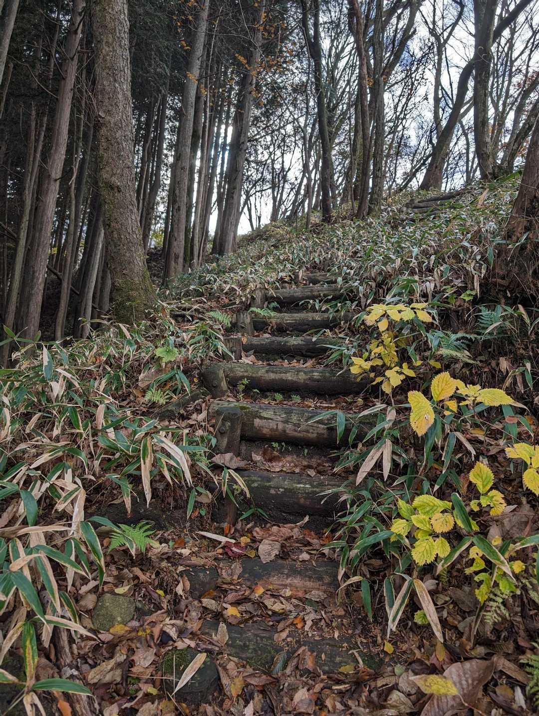 果てない階段