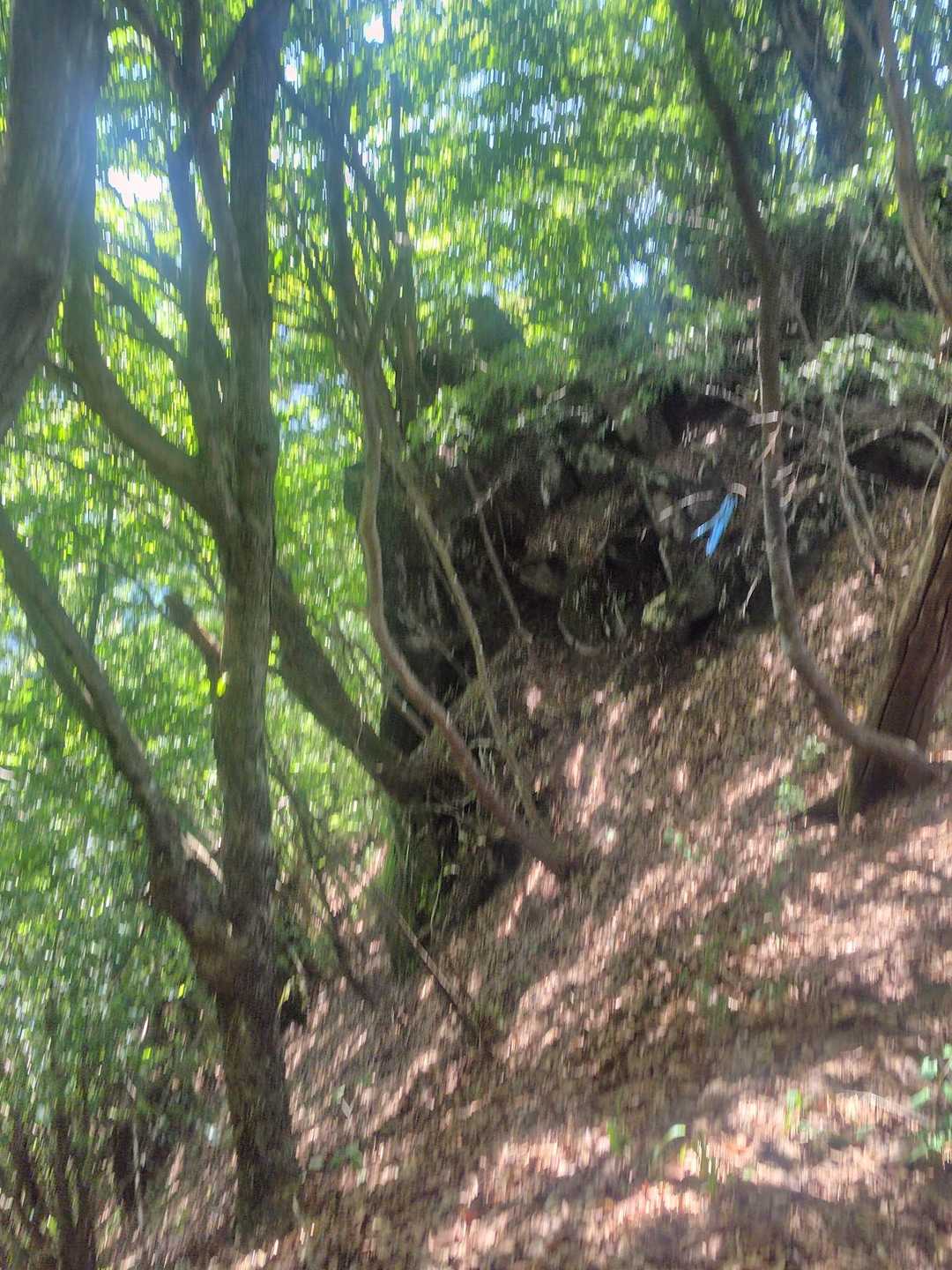 結構急登🧗