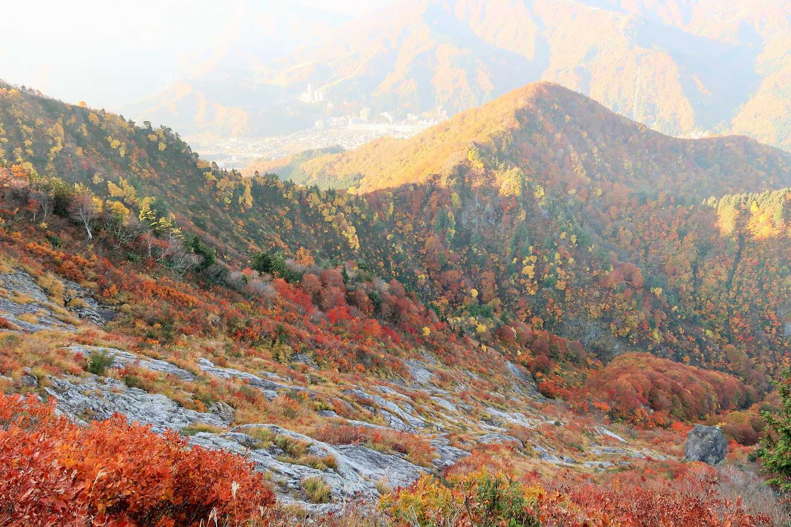 何度も見てしまう、負欠スラブからの紅葉(#^^#)