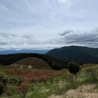 久しぶりにあっちの山も行きたかったが、夜に用事があるので諦めました
足が万全だったらダッシュしてたなあ