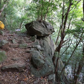 行縢山 石で組まれた階段が随所に
修験道時代の名残でしょうか