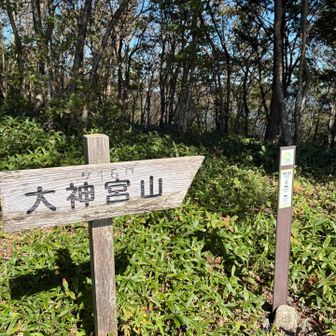 楽しい？稜線歩きもここまで
