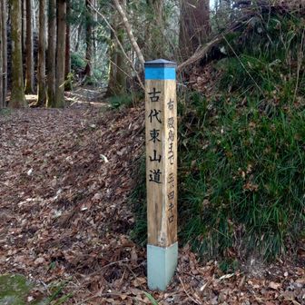 東山道の碑も有りました。