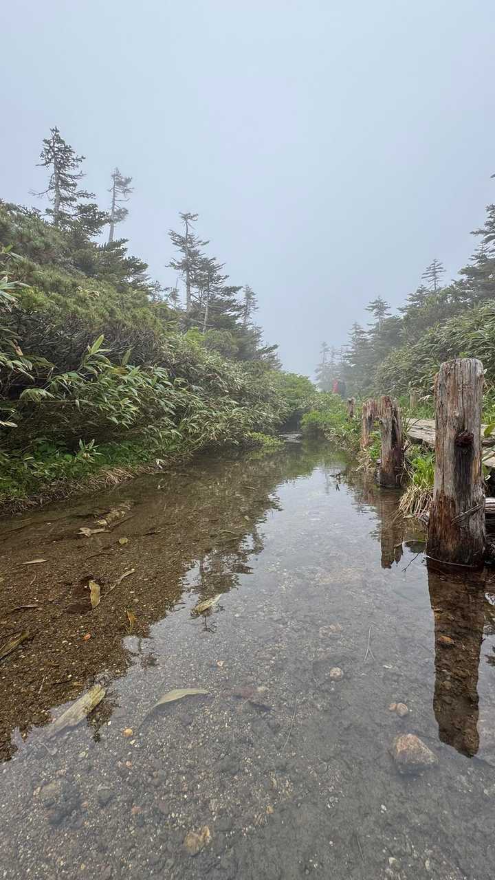 八甲田山（大岳・井戸岳・赤倉岳）／青森遠征Day2 の写真 12