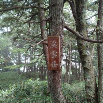 雨は小降りになりましたが湿度が凄い💦