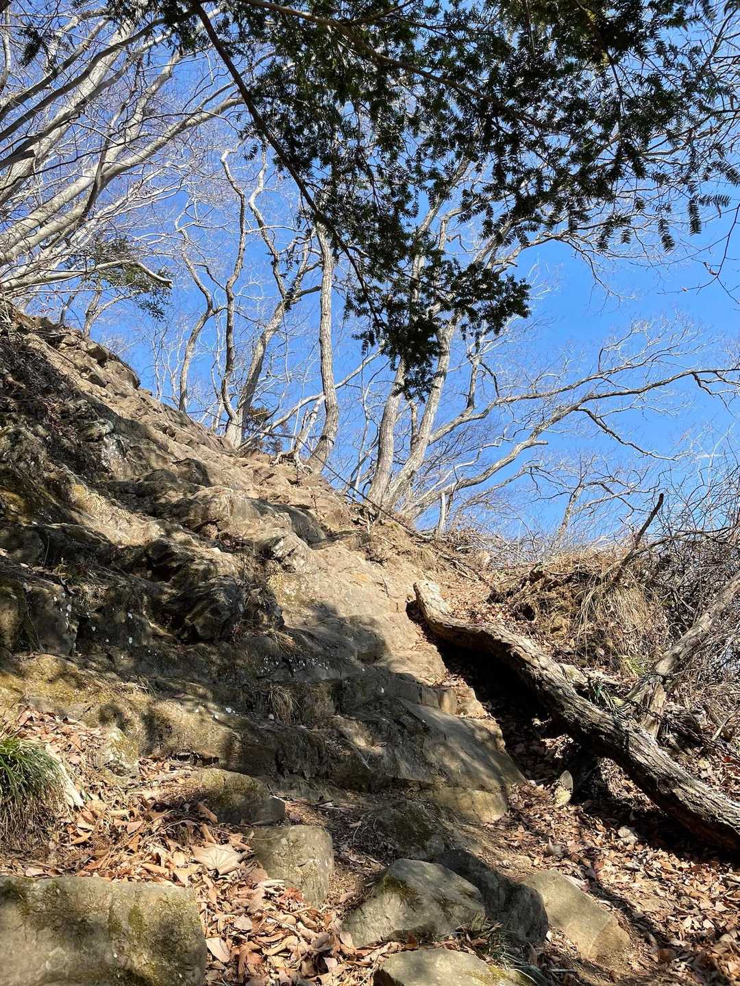 里山あるある急登の岩場