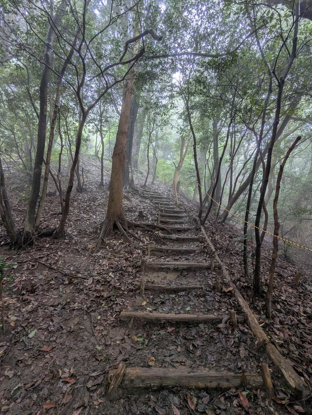 ラスボスです💪