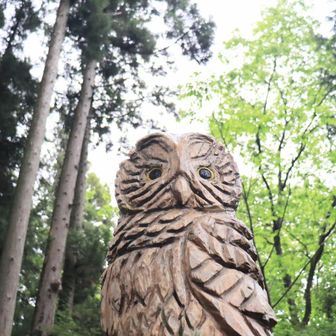 蒼空(そら)を観上げて、明日も歩こう👏