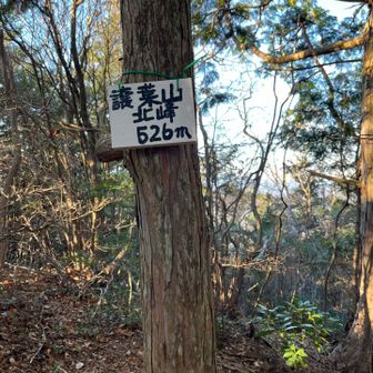 そのあと譲葉北峰ピーク
