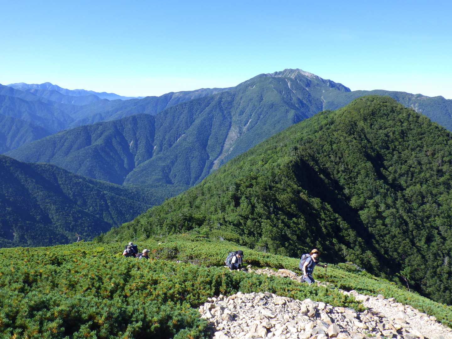 北沢峠-北沢峠バス停-仙水峠-駒津峰-双児山 周回コースの写真