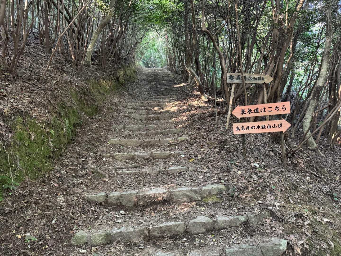 滝汗が…
半袖にすればよかった
今日はズルせずちゃんと階段を登ります