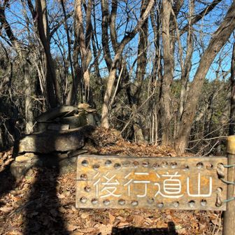 展望はイマイチ