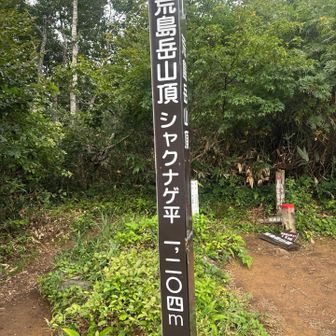 分岐点までようやく来れた