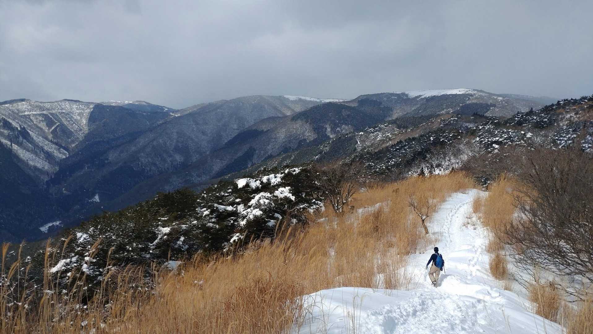 生野高原登山口-達磨ヶ峰-フトウガ峰 往復コースの写真