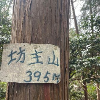 未踏のピークを一応踏んで〜
のつもりが登頂済でした🤣