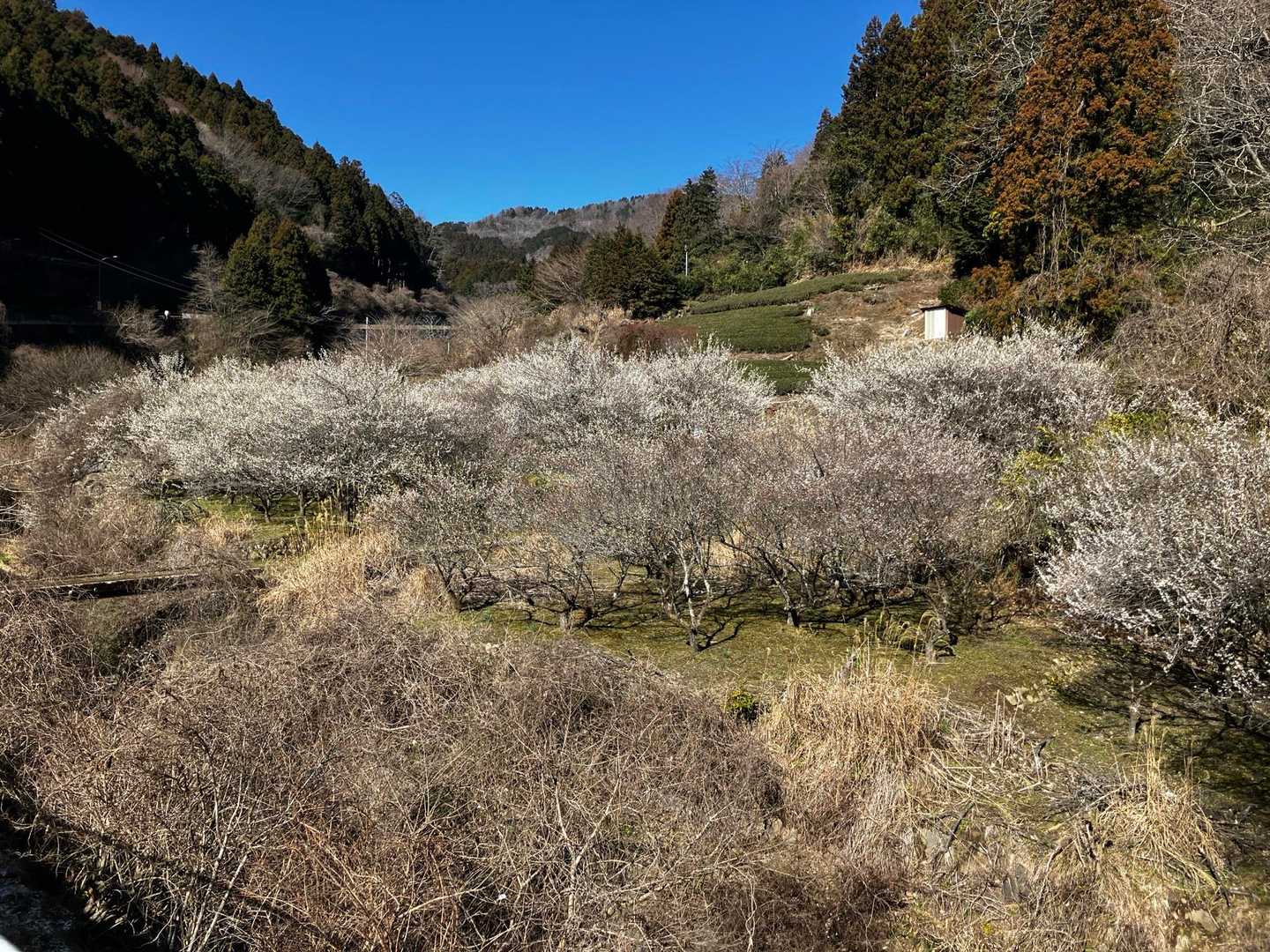 地蔵堂バス停-清水越-矢倉岳 往復コースの写真