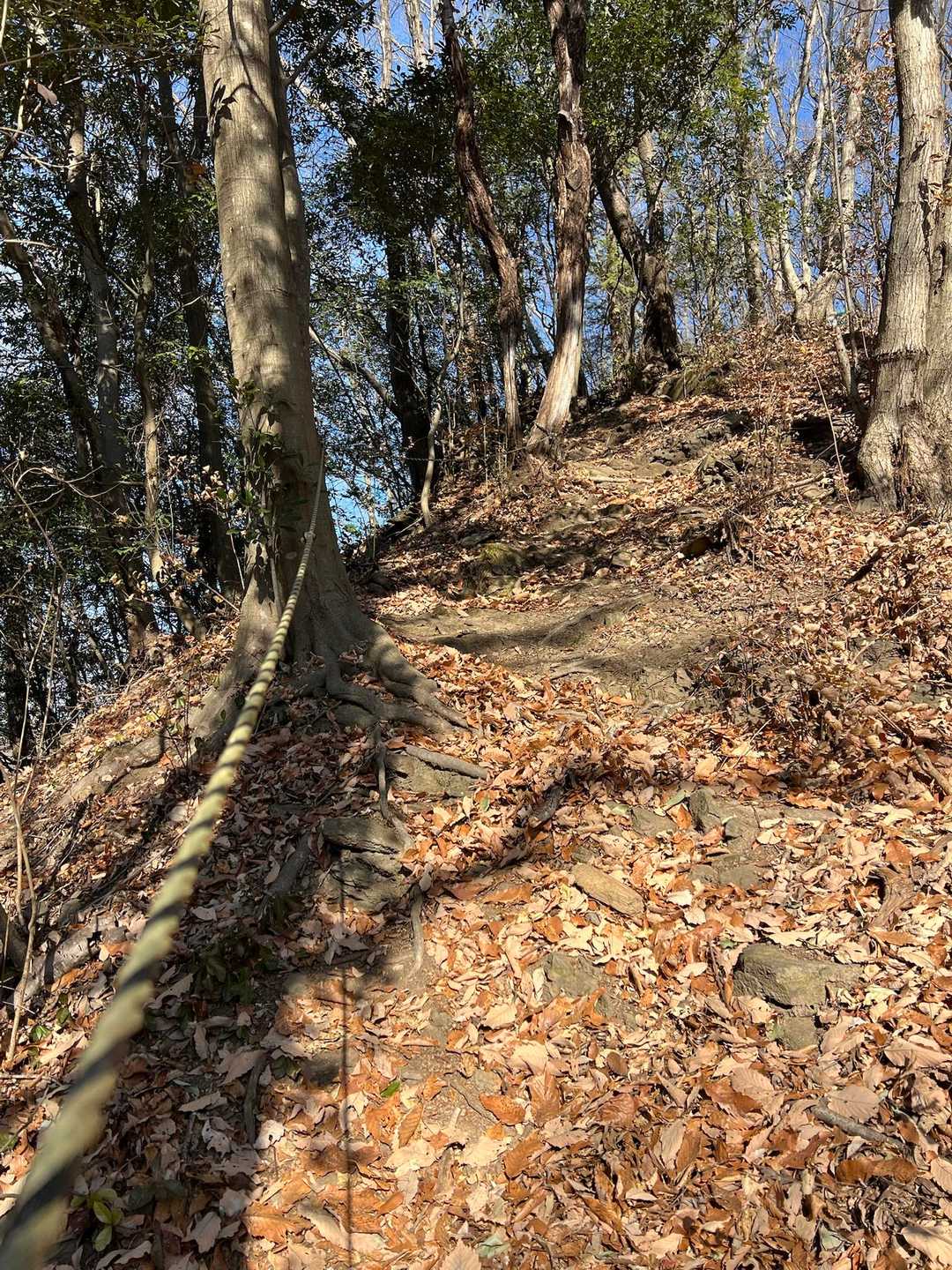 しばらく稜線歩き、第二の急登