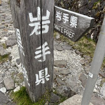 岩手に