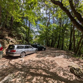 山頂から矢立石登山口までの登山道は整備されたとても歩きやすい道でした。