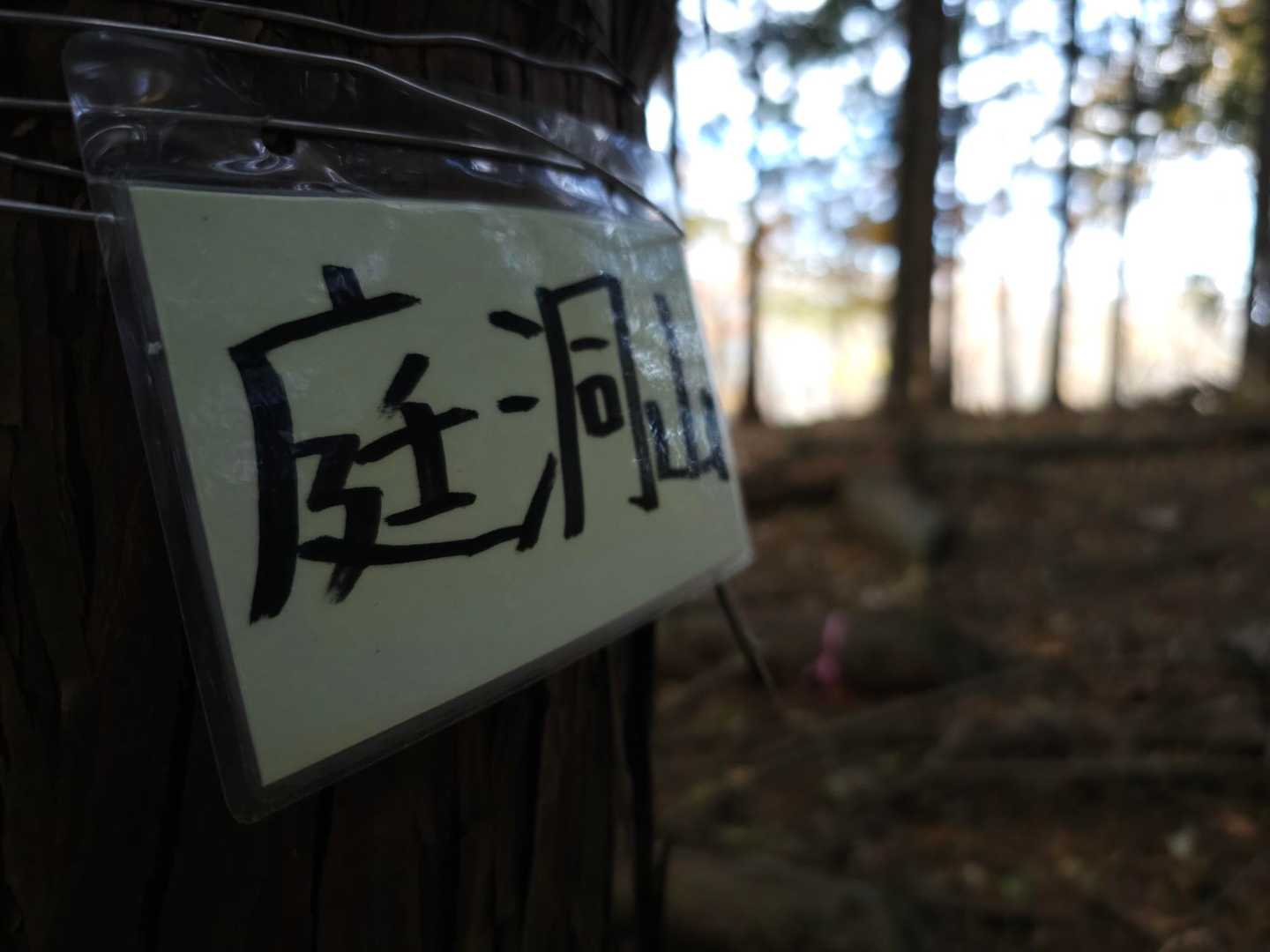 眺望なし