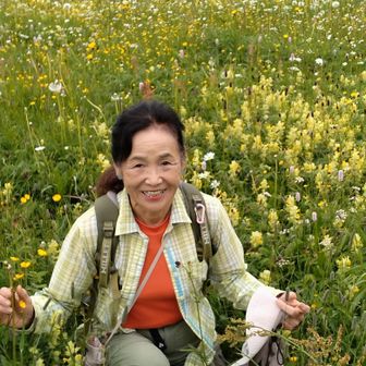 ヤマトナデシコ