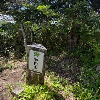 茶臼山経由で