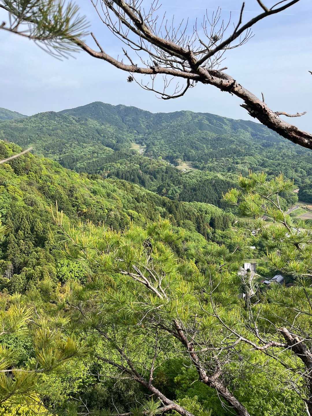 天下峯 往復コースの写真
