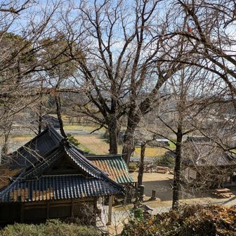 ちょっと上がって綾部神社を見下ろす。
